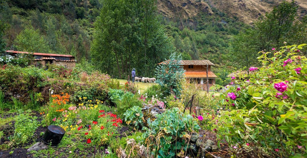 Hospedaje Illariy Yanama Екстериор снимка